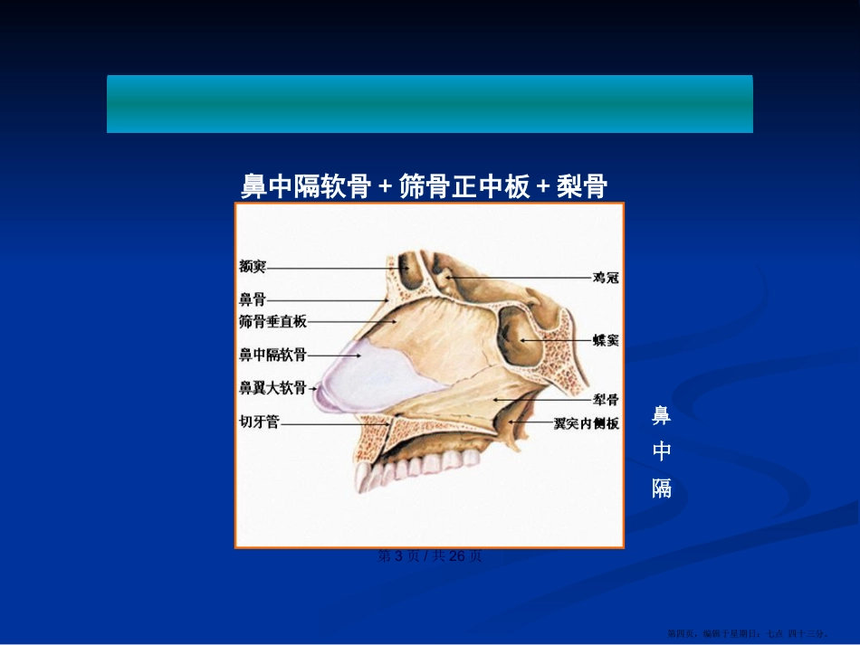 鼻中隔疾病学习教案_第4页