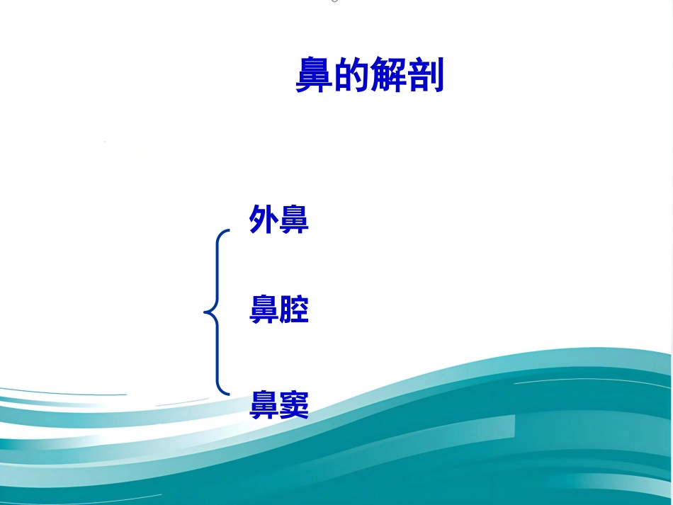 聚焦超声治疗变应性鼻炎_第10页