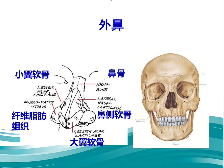 聚焦超声治疗变应性鼻炎_第11页
