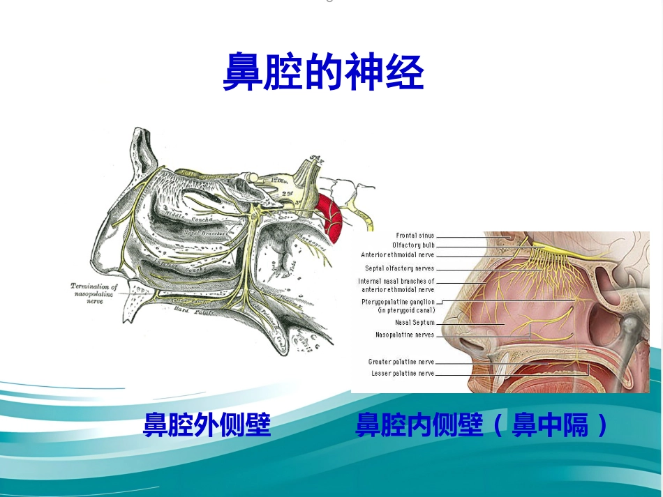 聚焦超声治疗变应性鼻炎_第14页
