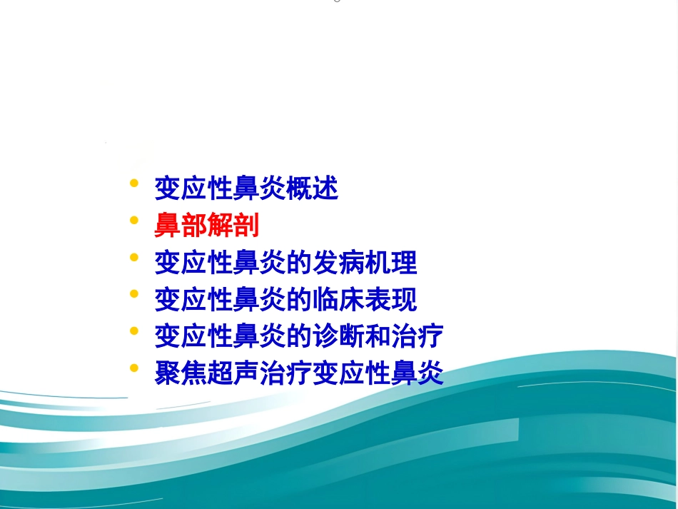 聚焦超声治疗变应性鼻炎_第9页