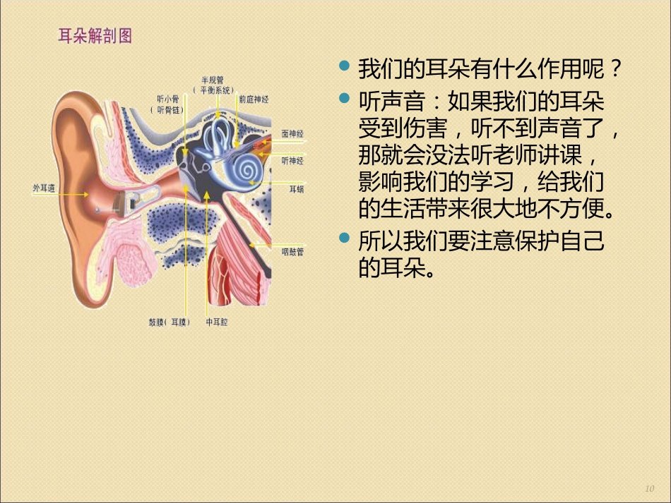 健康活动保护我的耳朵ppt课件_第10页