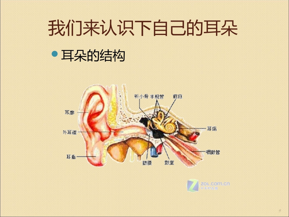 健康活动保护我的耳朵ppt课件_第9页