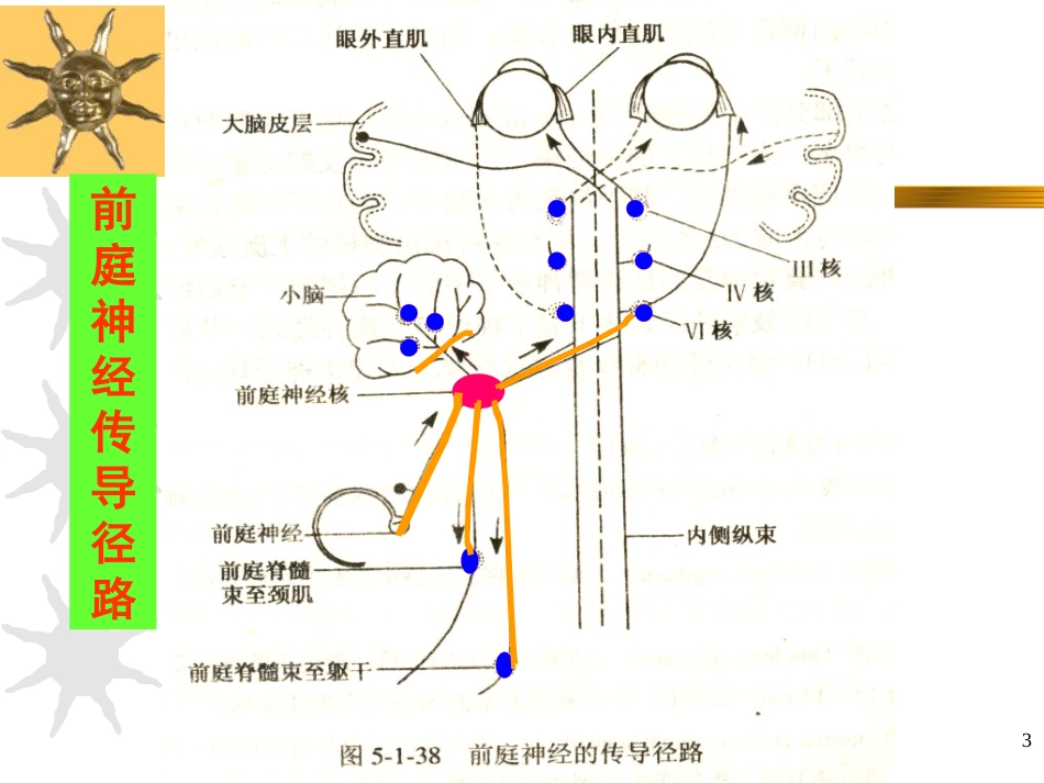 耳源性眩晕诊治ppt课件_第3页
