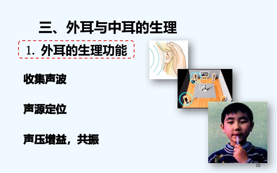 耳的解剖与生理听觉生理_第10页