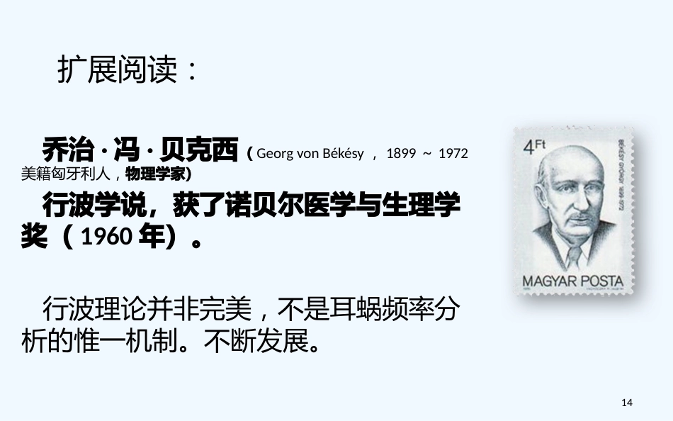 耳的解剖与生理听觉生理_第14页