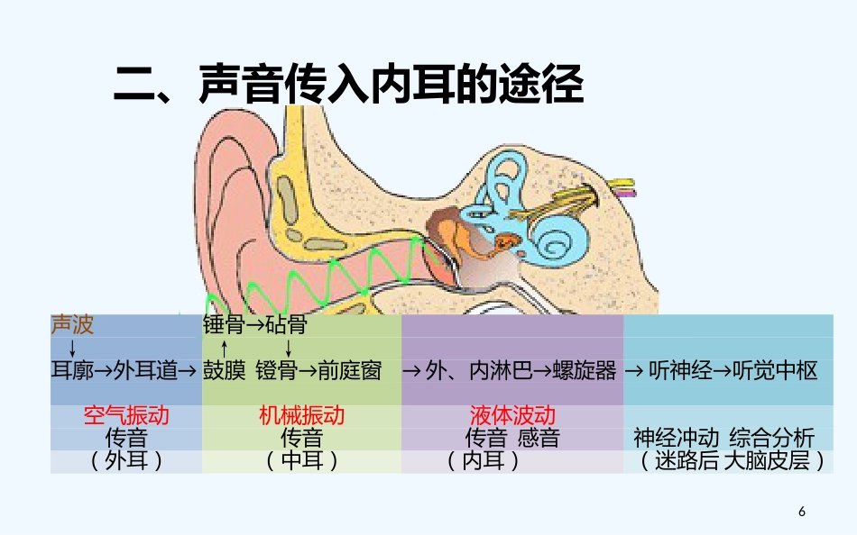 耳的解剖与生理听觉生理_第6页