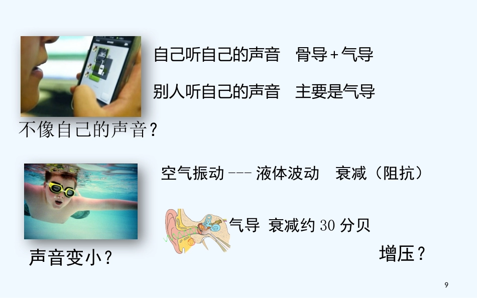 耳的解剖与生理听觉生理_第9页