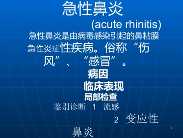 耳鼻喉学慢性鼻炎PPT参考课件