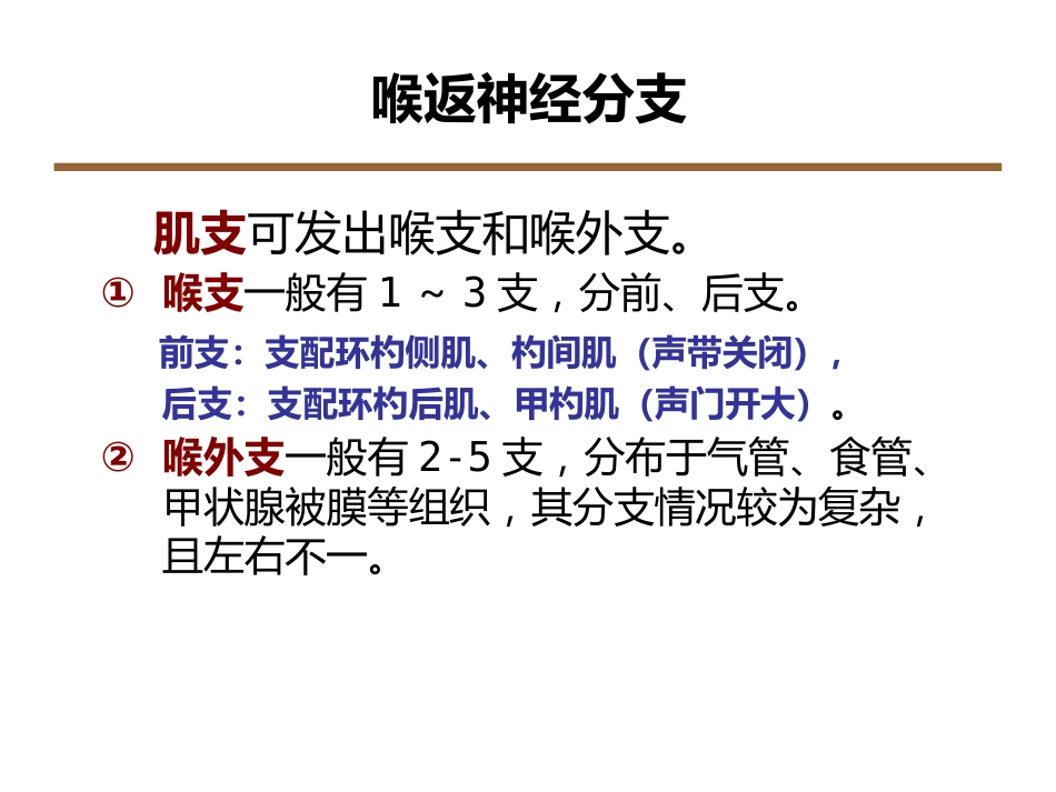 喉返神经解剖技术外科进展_第4页