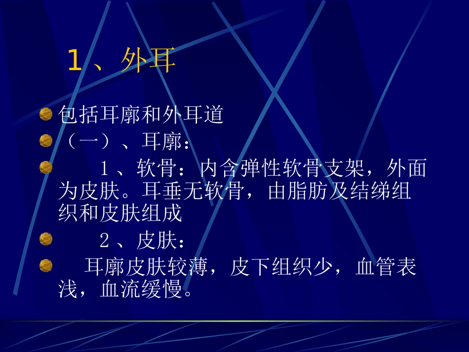 耳鼻咽喉解剖_第4页