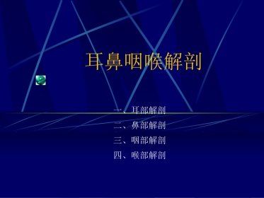 耳鼻咽喉解剖