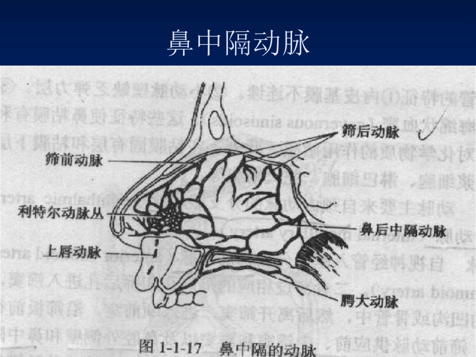 耳鼻咽喉科复习_第10页