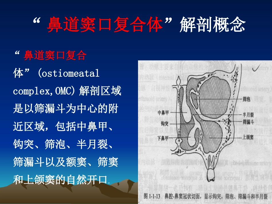 耳鼻咽喉科复习_第13页