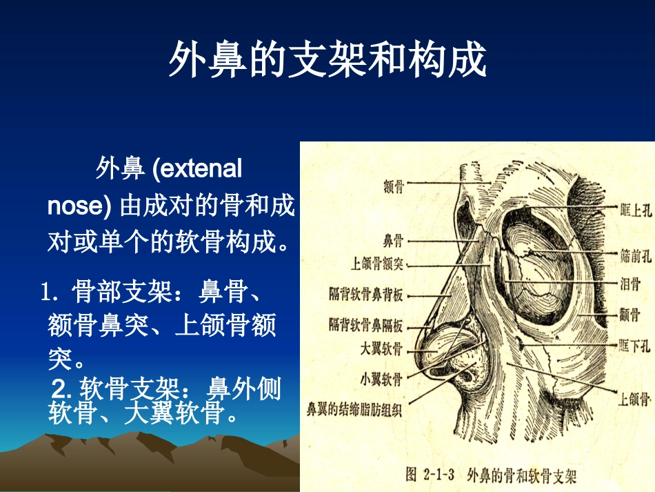 耳鼻咽喉科复习_第2页