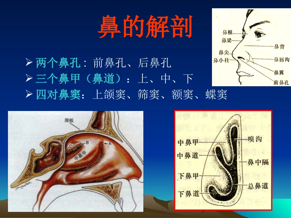 耳鼻咽喉科复习_第3页