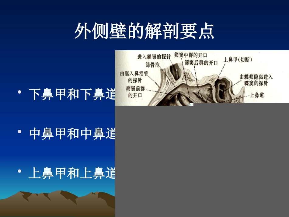 耳鼻咽喉科复习_第6页