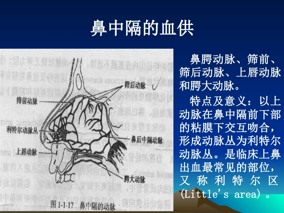 耳鼻咽喉科复习_第9页