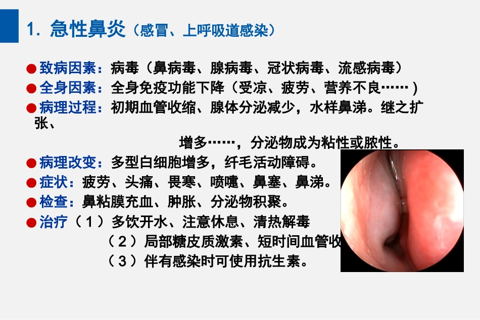 耳鼻喉头颈外科PPT课件 鼻炎_第3页