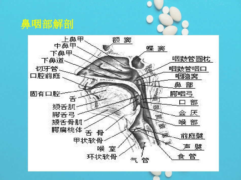 鼻咽癌放疗护理_第4页