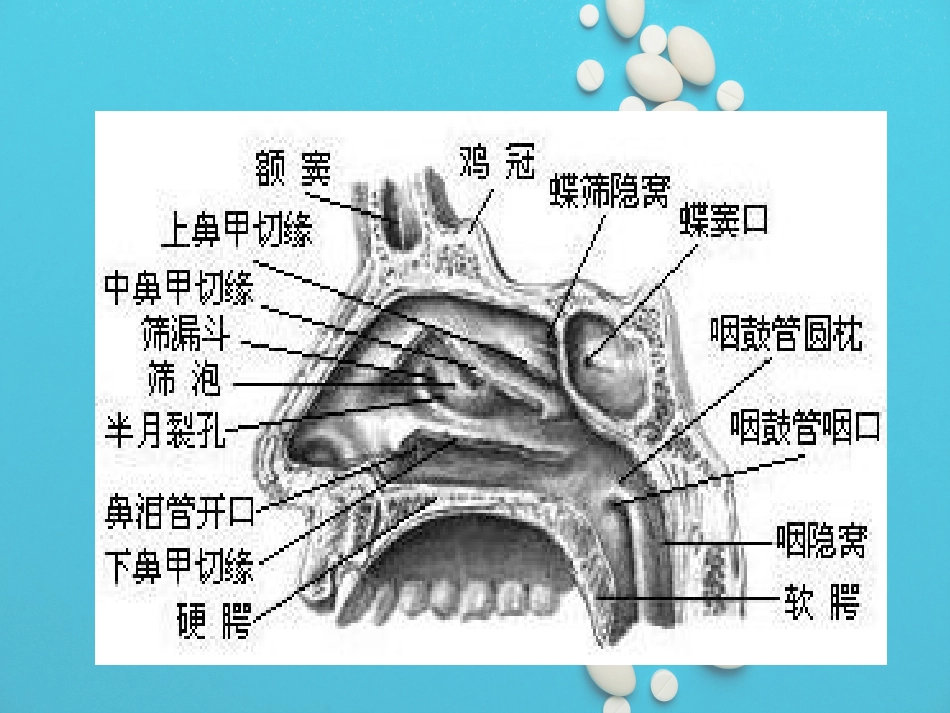 鼻咽癌放疗护理_第5页