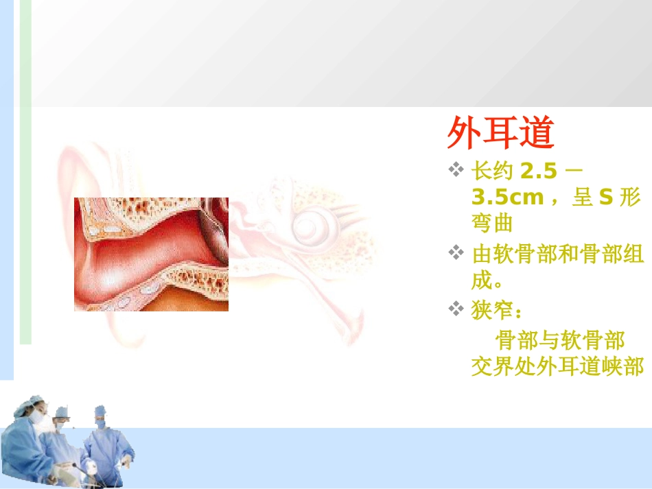 耳解剖及分泌性中耳炎 耳鼻喉科学_第10页