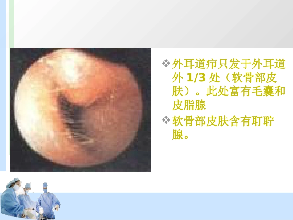 耳解剖及分泌性中耳炎 耳鼻喉科学_第11页