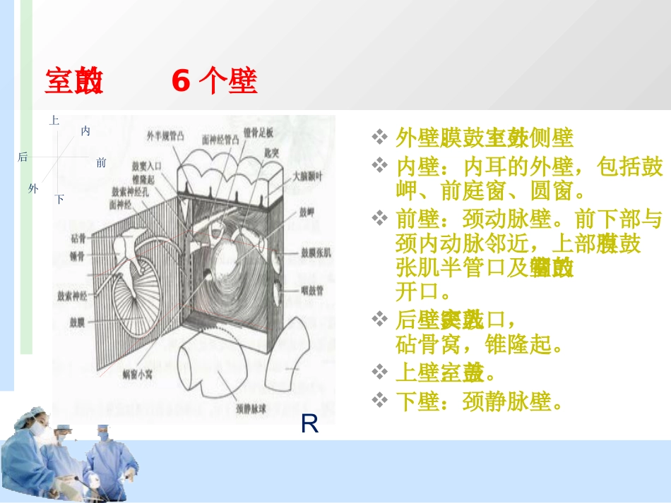 耳解剖及分泌性中耳炎 耳鼻喉科学_第13页