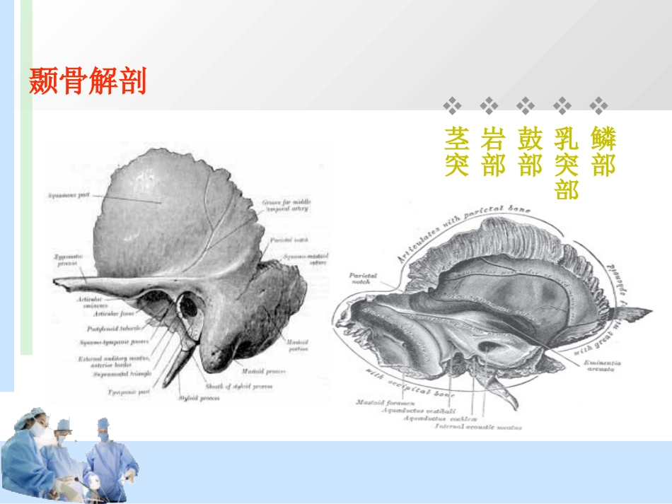 耳解剖及分泌性中耳炎 耳鼻喉科学_第3页