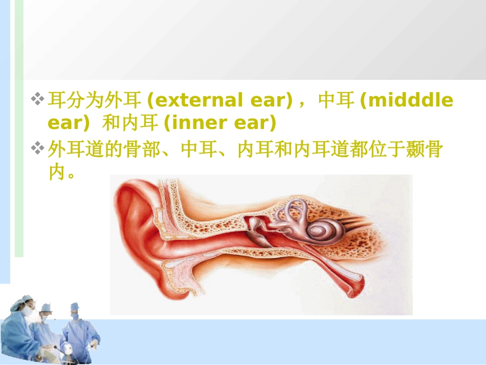 耳解剖及分泌性中耳炎 耳鼻喉科学_第4页