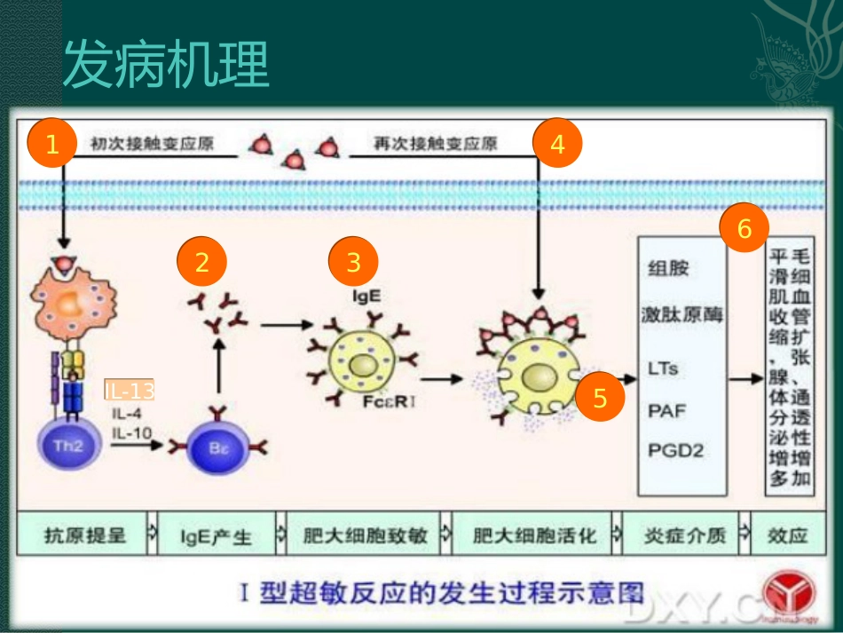 儿童变应性鼻炎_第7页