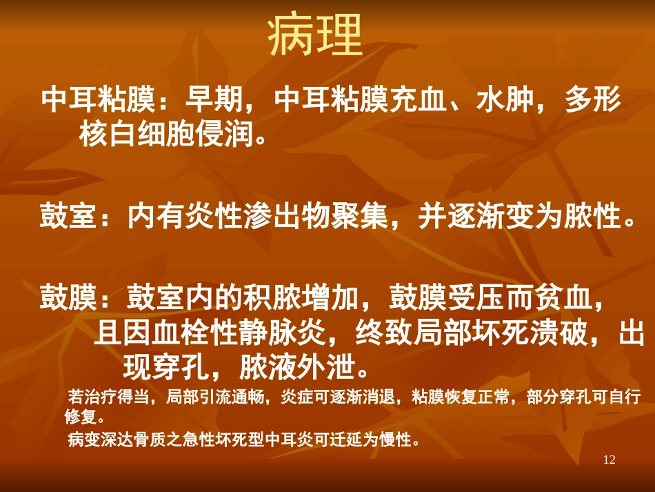 急性化脓性中耳炎ppt课件_第12页