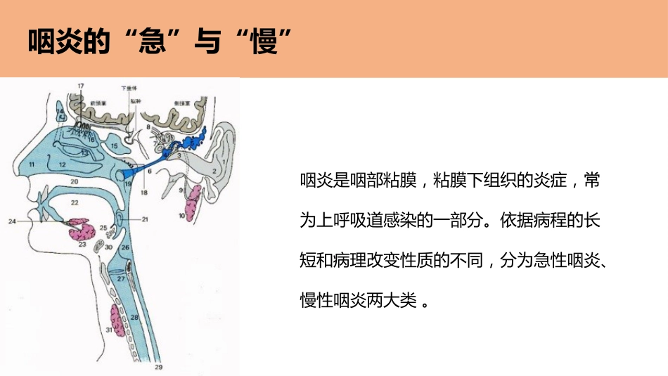 科普咽炎的“急”与“慢”_第3页