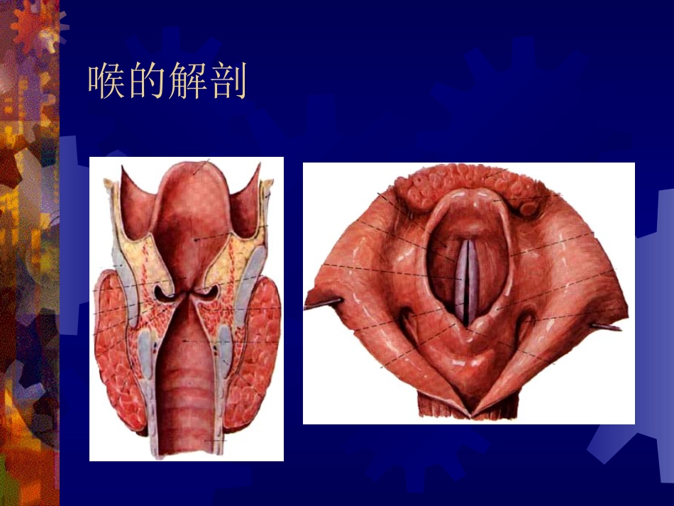 喉阻塞_第2页