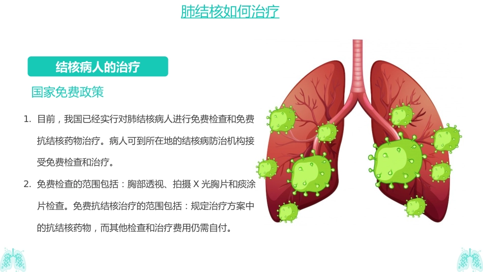 肺结核防治知识_第12页