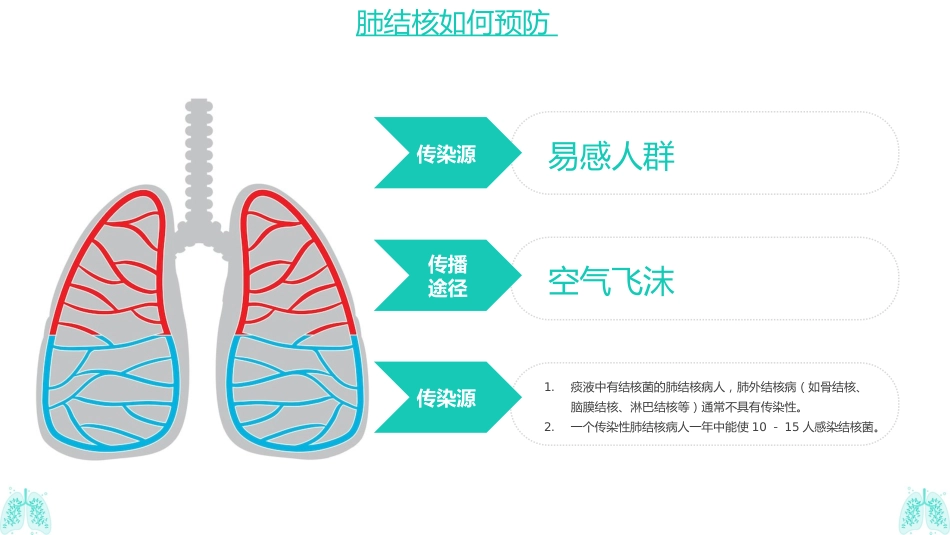肺结核防治知识_第14页