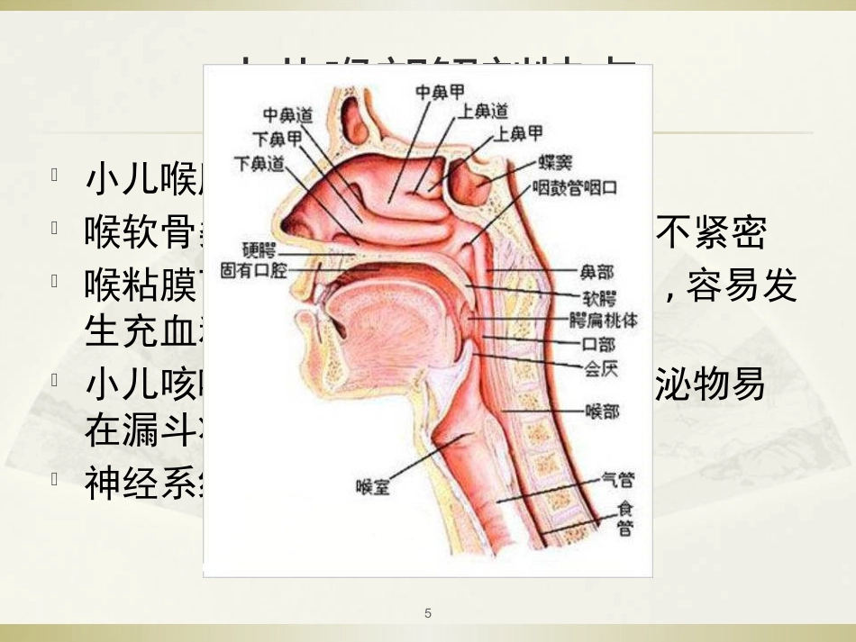 急性喉炎医学PPT_第5页