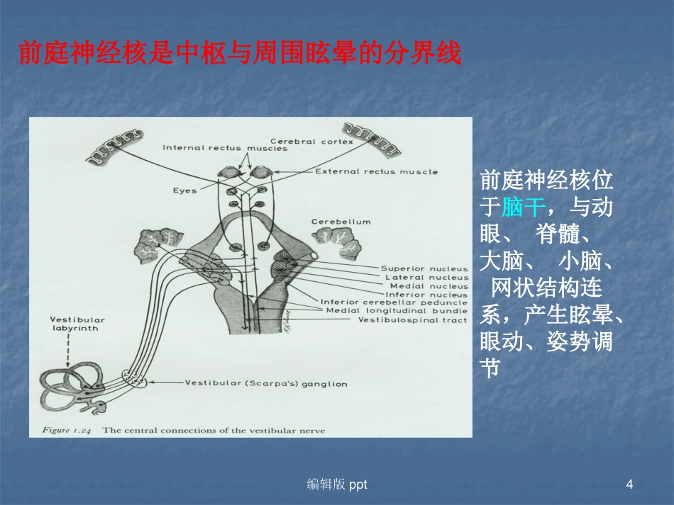 常见耳源性眩晕的诊断与治疗PPT课件_第4页