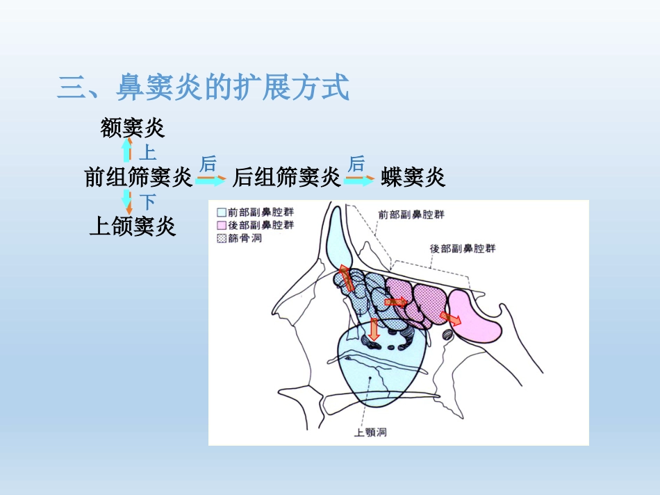 慢性鼻窦炎医疗业务学习_第11页