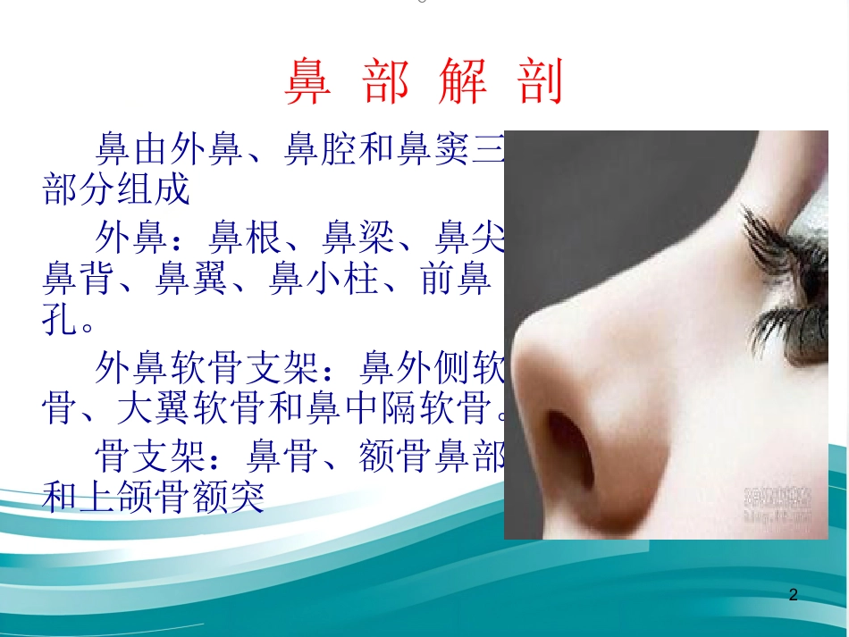 常见耳鼻喉疾病诊疗_第2页