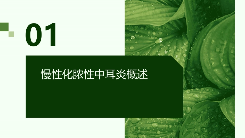 《慢性化脓性中耳炎》课件_第3页