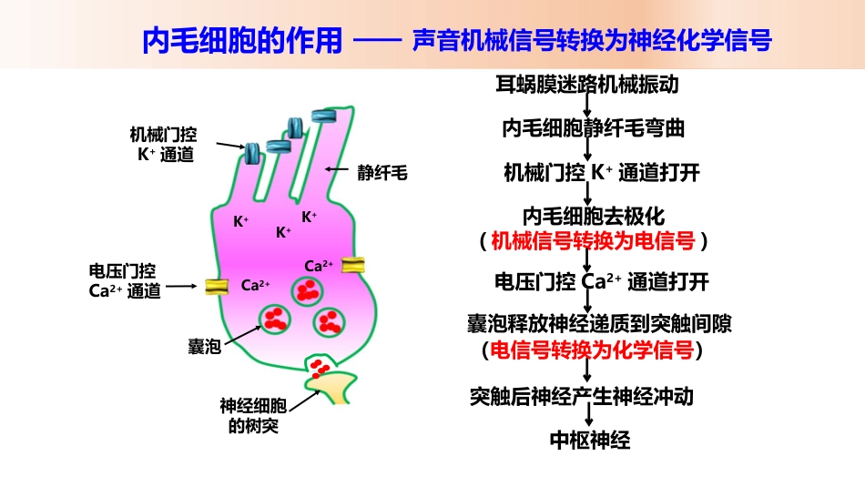 耳机使用与听力损伤_第7页