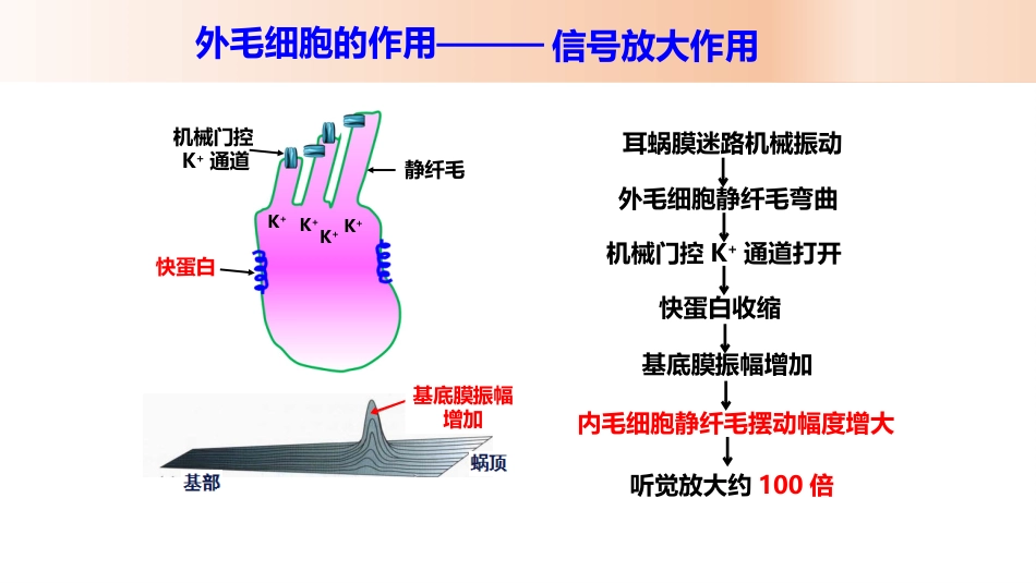 耳机使用与听力损伤_第8页