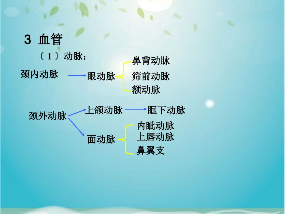 鼻部解剖及生理_第11页