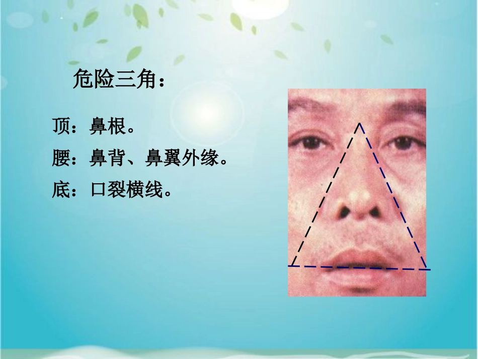鼻部解剖及生理_第13页