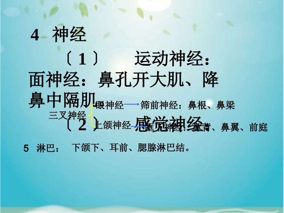 鼻部解剖及生理_第14页