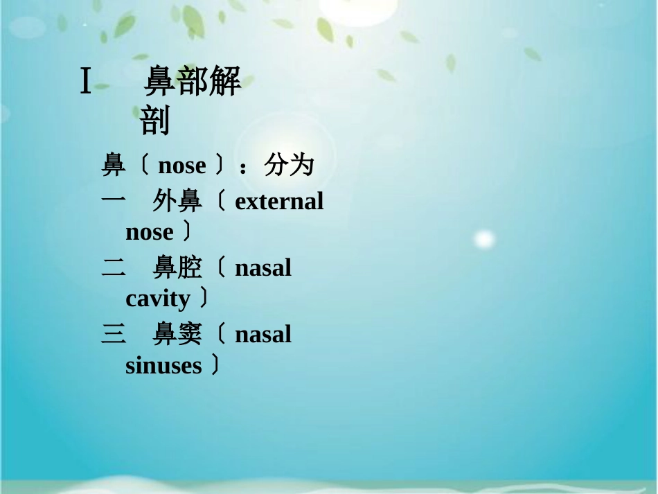 鼻部解剖及生理_第2页