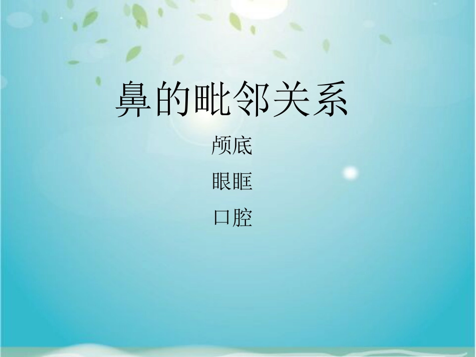 鼻部解剖及生理_第3页