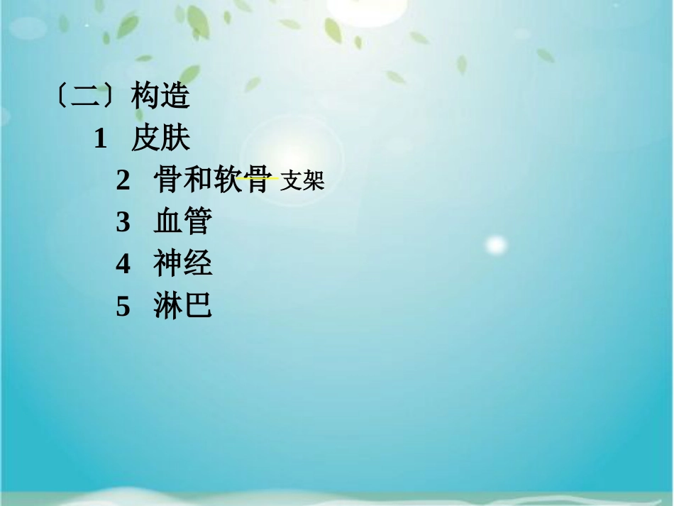 鼻部解剖及生理_第5页