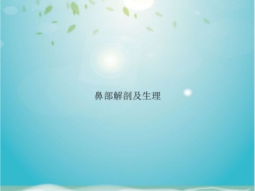 鼻部解剖及生理